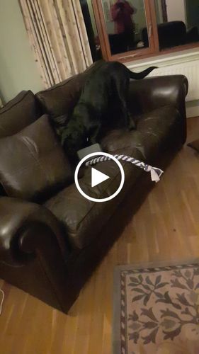 Customer video review of The Fenrir Hammer