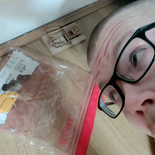 Customer photo review of Ultimate Variety Mixed Pack