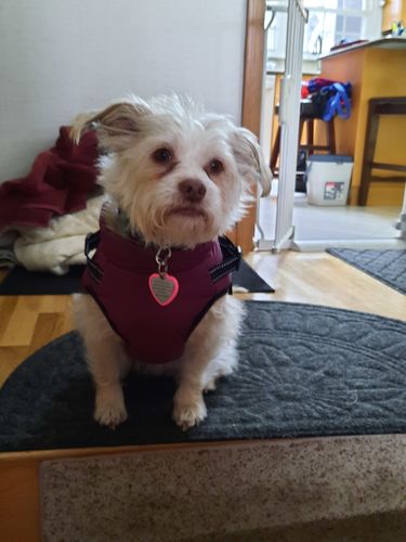 Customer photo review of Fast Shipping Service