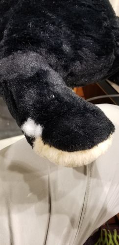 Customer photo review of SKOGGY BEAR