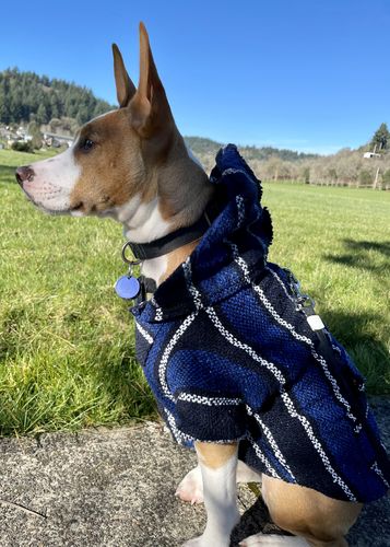 Customer photo review of Playa Poncho