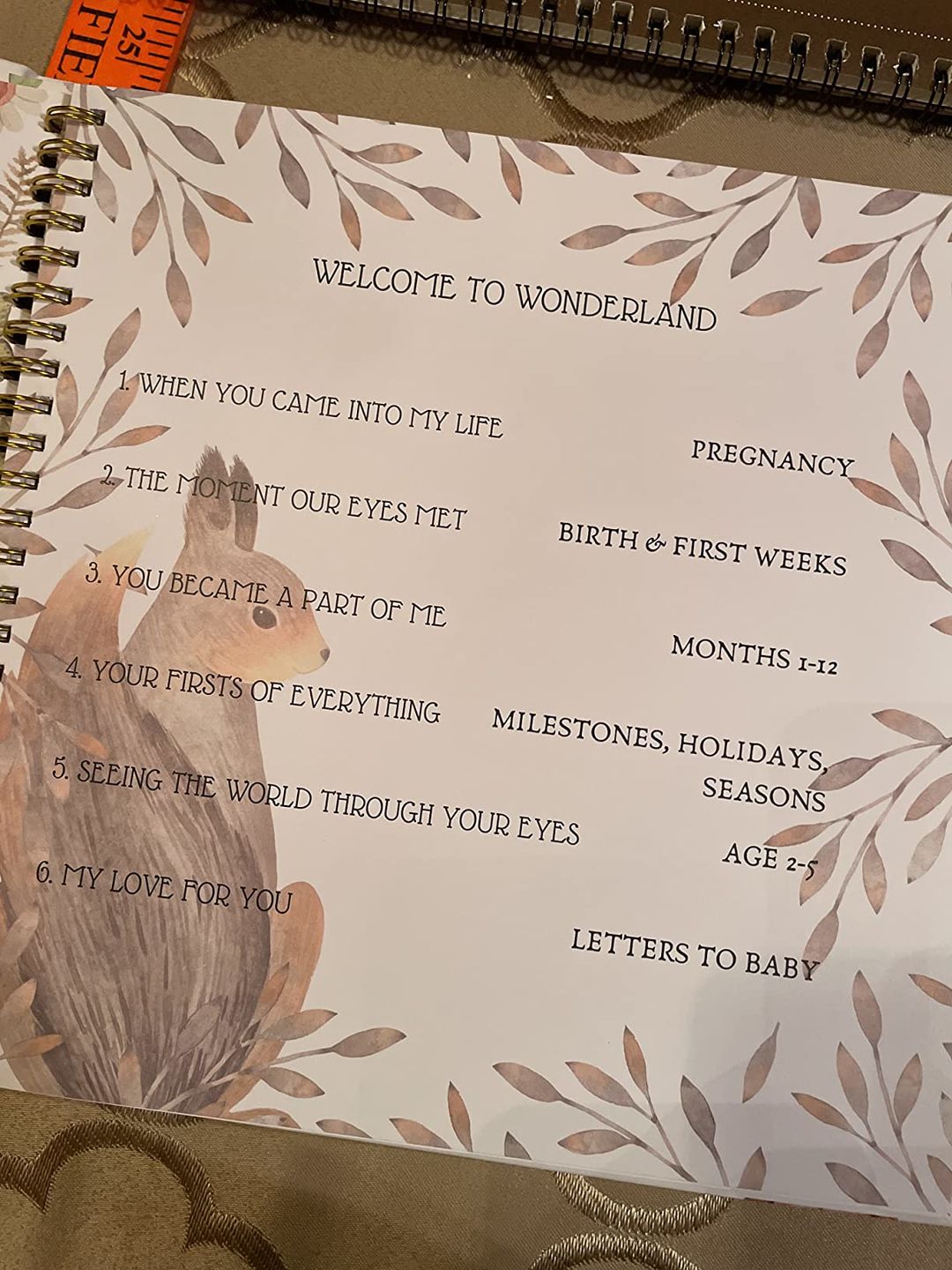 Customer photo review of Baby First Years Memory Book
