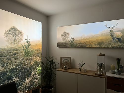 Customer photo review of Wechselmotiv | Rothirsch im Nebel | Querformat