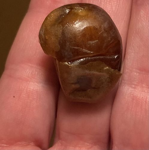 Customer photo review of Organic Brown Barhi Dates (2-Pack)