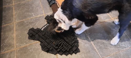 Customer photo review of Fenrir Foraging Mat