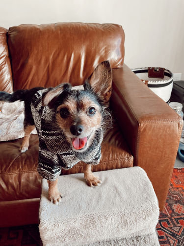 Customer photo review of Playa Poncho