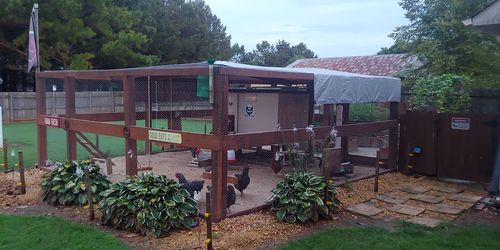 Customer photo review of GrubTerra Dried Larvae