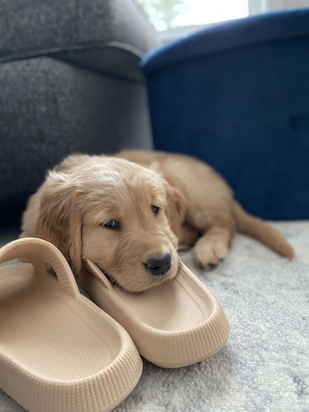 Customer photo review of Original Cushion Slides - Cloud Slides