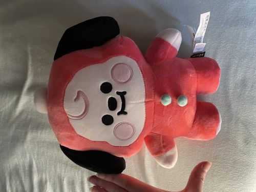 Customer photo review of [Official] BT21 BABY "HOLIDAY EDITION" STANDING DOLL