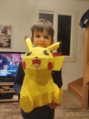 Customer photo review of Patrons Pikachu (pdf)