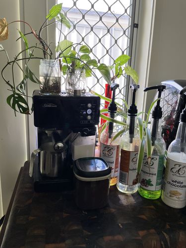 Customer photo review of Peppermint Coffee Syrup