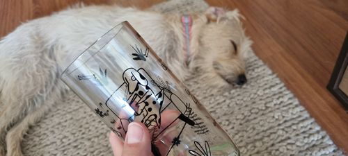 Customer photo review of Lindos Quiltros - Juego de 6 Vasos