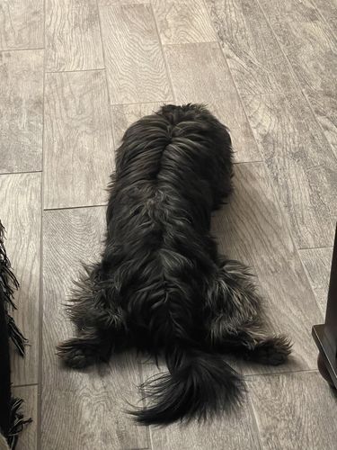 Customer photo review of Forge Sunglasses