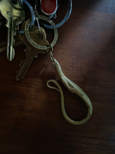 Customer photo review of Lizard Keychain | Brass