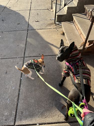 Customer photo review of Playa Poncho