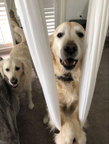 Customer photo review of Tuchschaukel Kinder ™