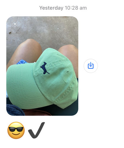 Customer photo review of Dachshund Cap Green