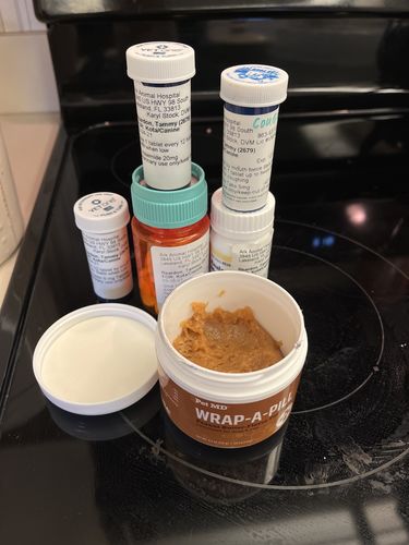 Customer photo review of Wrap-A-Pill Peanut Butter Flavor - 4.2 oz