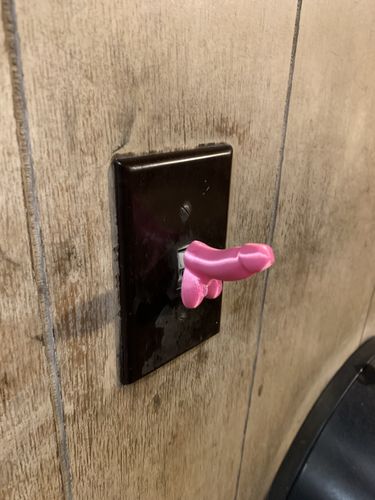 Customer photo review of The Dick Light Switch!