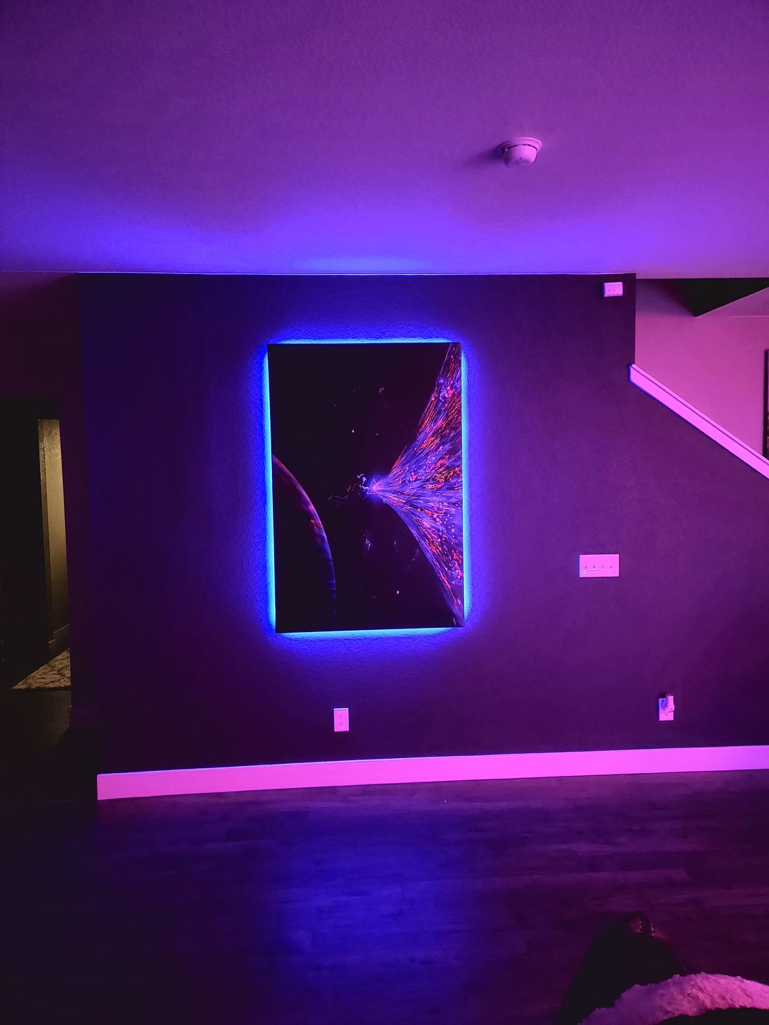 Customer photo review of Big Difference Canvas Art