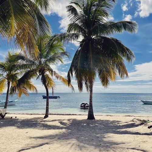 Customer photo review of Elixir intime • 15ml