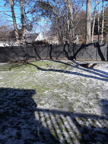 Customer photo review of Cal-Tide