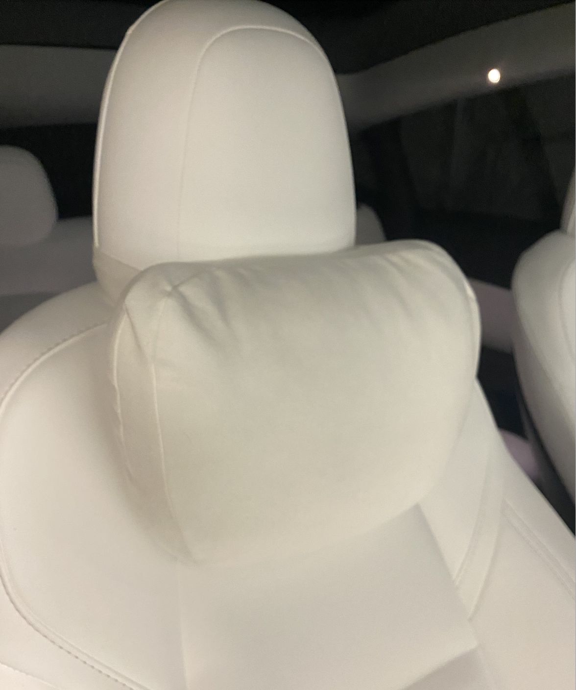 Customer photo review of Dupont Headrest Pillow