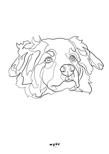 Customer photo review of Woofpalace Digital Artfile