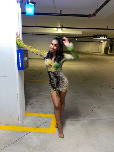 Customer photo review of See through V neck flared sleeve multicolor dress