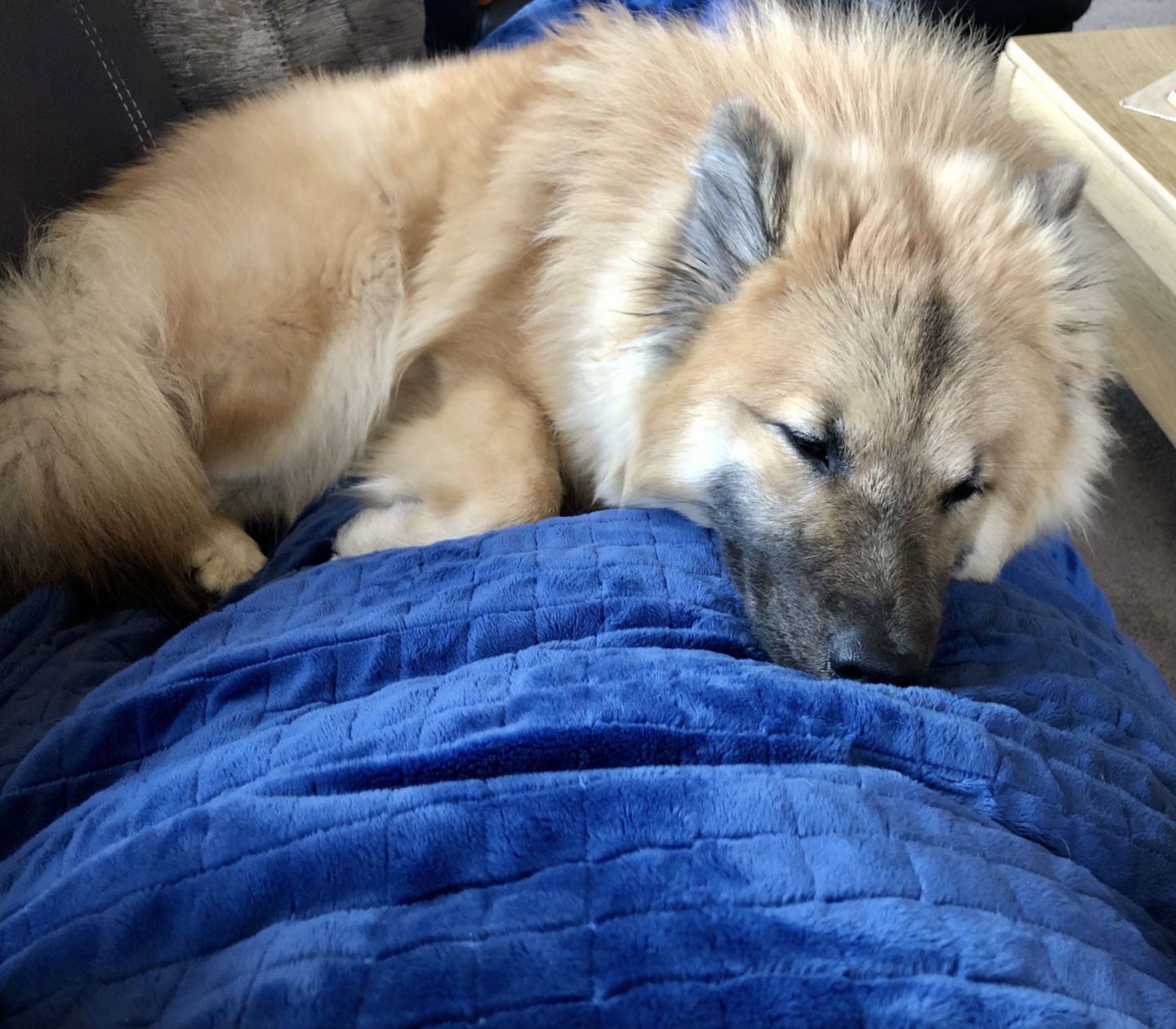 Customer photo review of Gravity Blanket - verzwaringsdeken