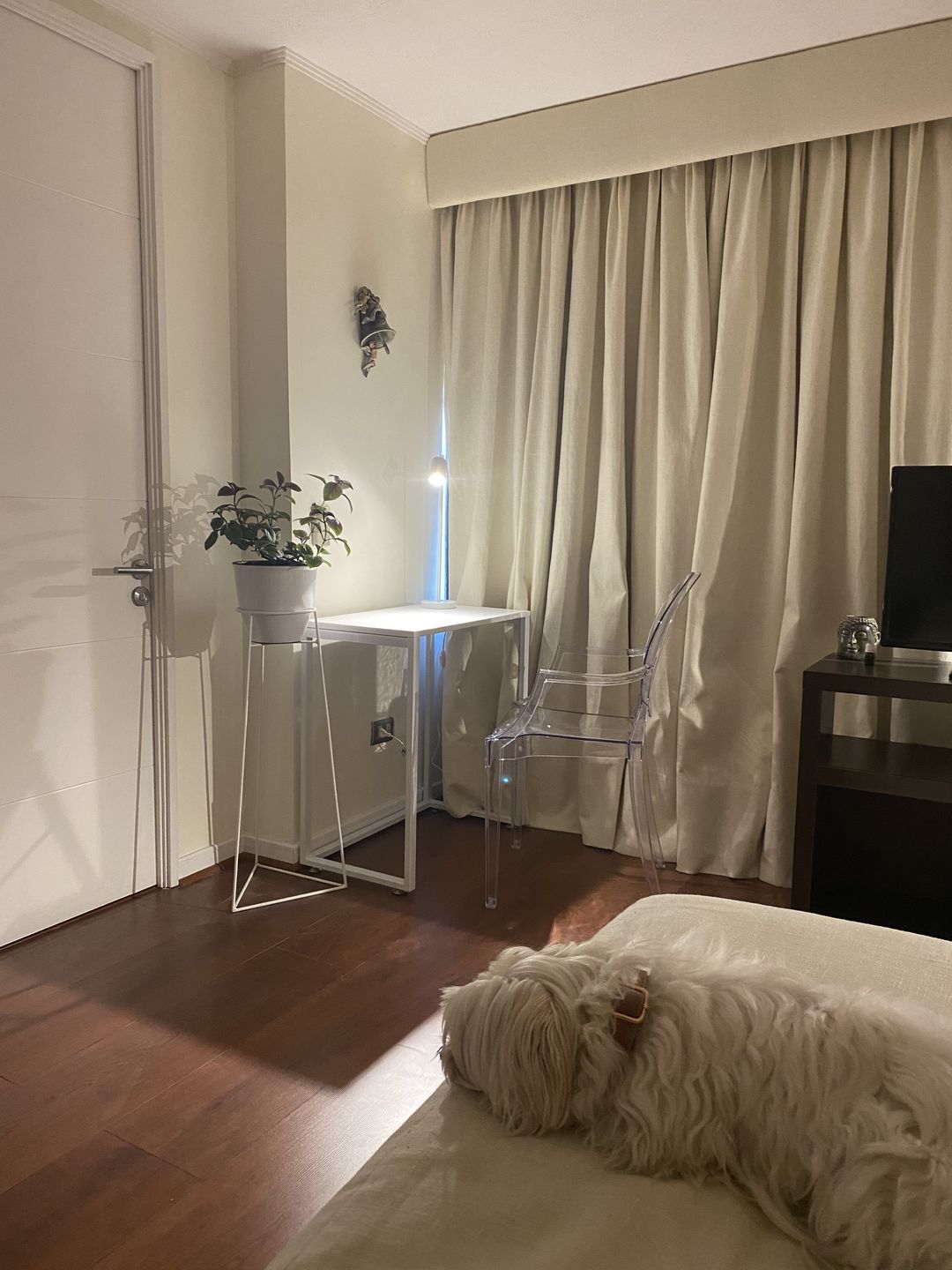 Customer photo review of Escritorio Kallfu Since 2020