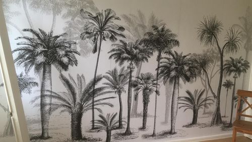 Customer photo review of Tropical Coconut Tree - Wallpaper Mural