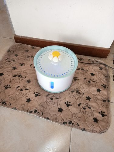 Customer photo review of Distributore Automatico di Acqua per Cani e Gatti®