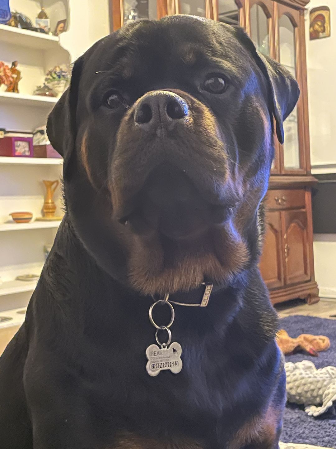 Customer photo review of Hollow-carved ID Tags