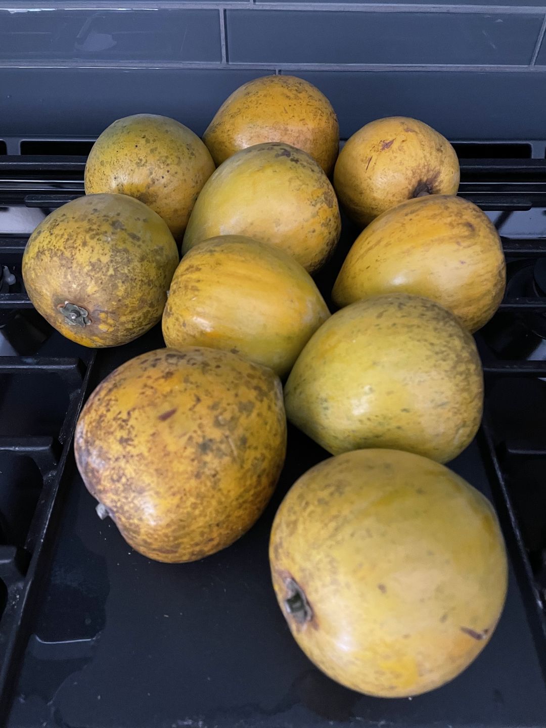 Customer photo review of Eggfruit (Canistel) Box