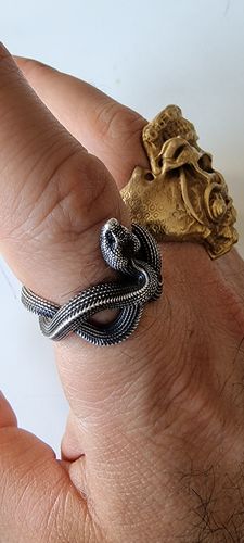 Customer photo review of Silver Snake Ring