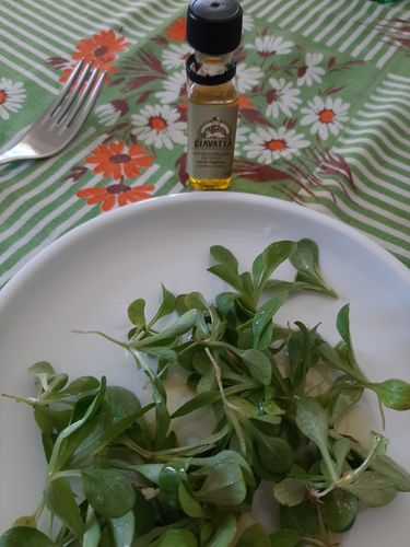 Customer photo review of Kit degustazione 4 Olio Extra vergine Ciavatta Nuovo 21/22