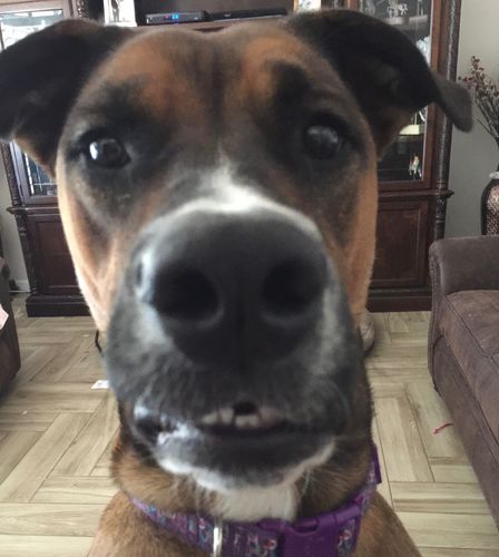 Customer photo review of Your Advanced Custom Diamond Painting Kit - Premium Quality