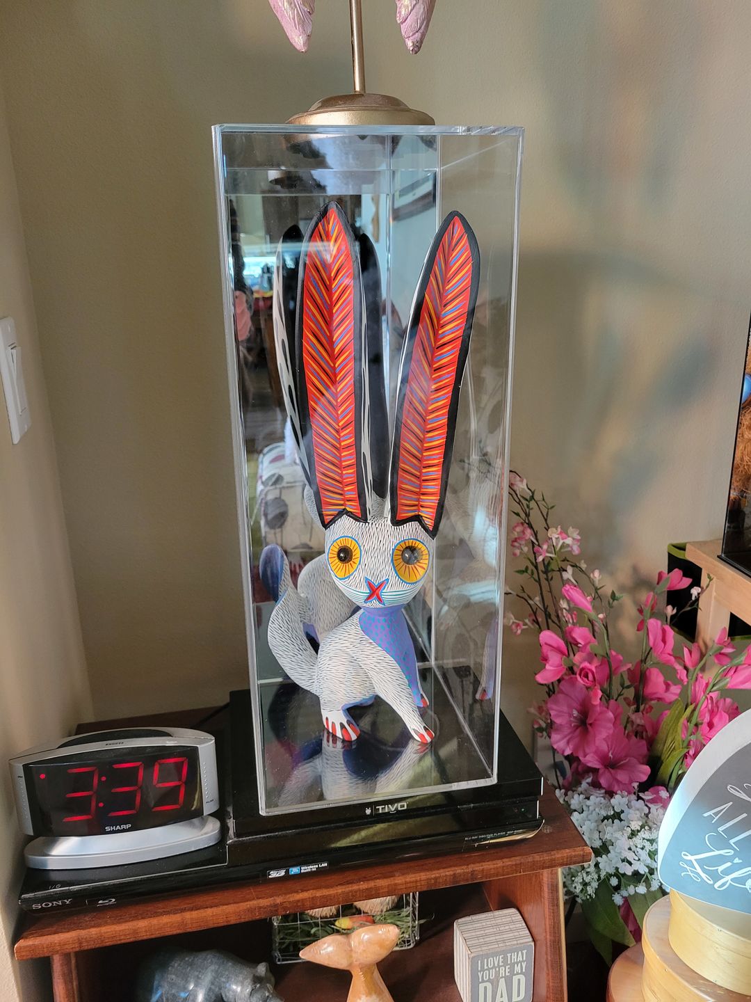 Customer photo review of Versatile Acrylic Display Case with Slide Back and Size Options (Table Top or Wall Mount)