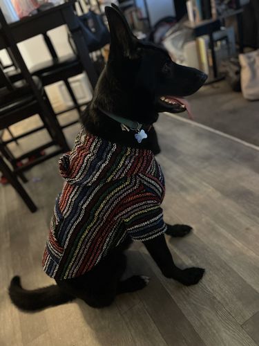 Customer photo review of Playa Poncho