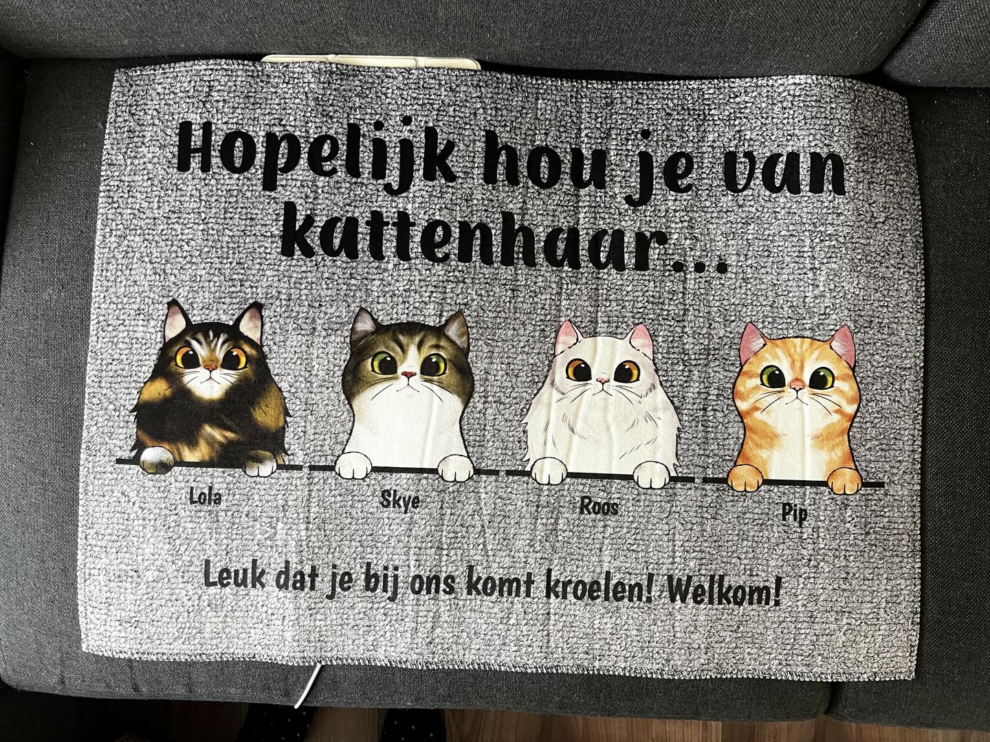 Customer photo review of Welkom bij nieuwsgierige katten - Gepersonaliseerde deurmat