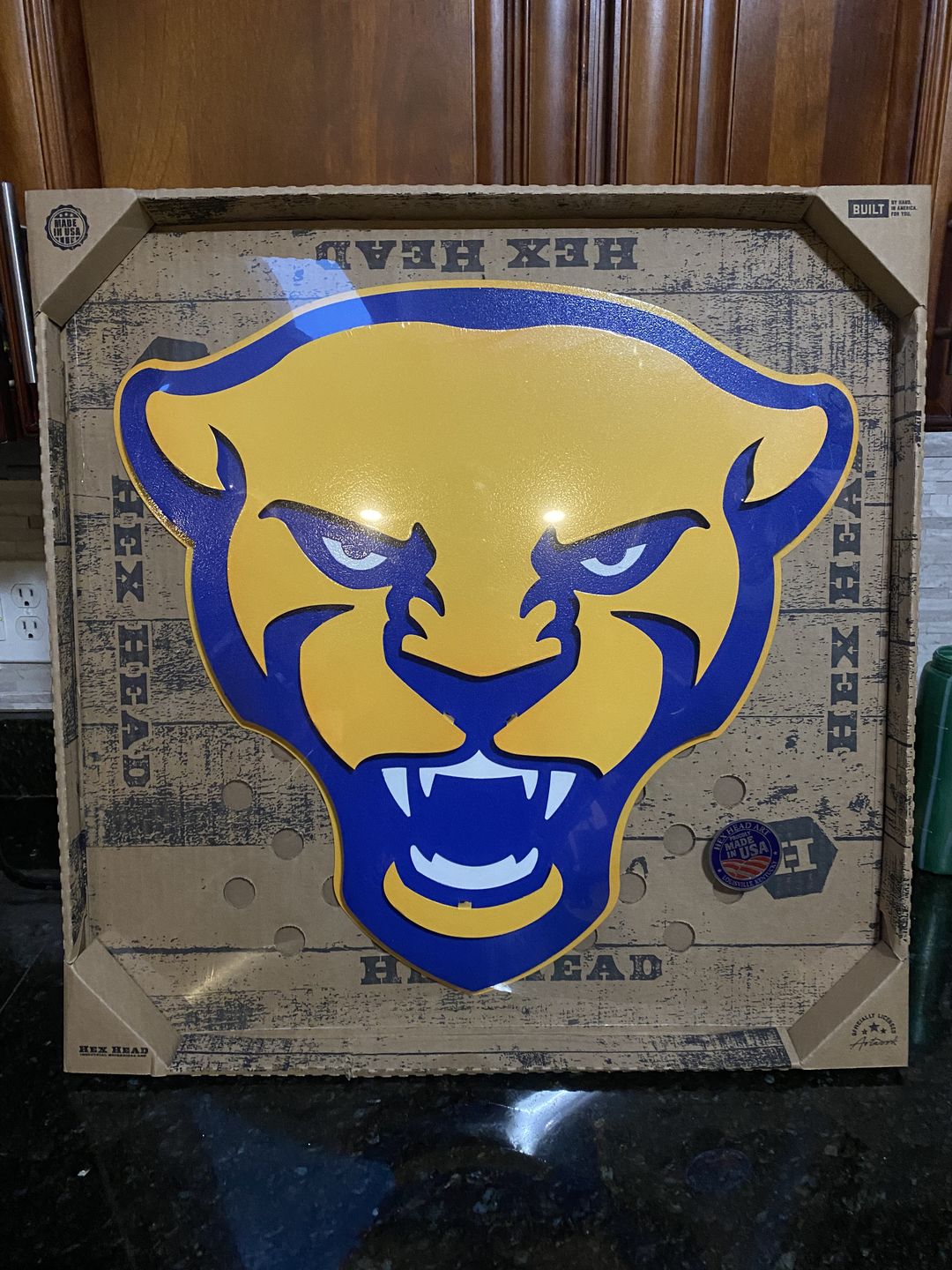 Customer photo review of Pittsburgh Panther Mascot 3D Vintage Metal Wall Art 22"