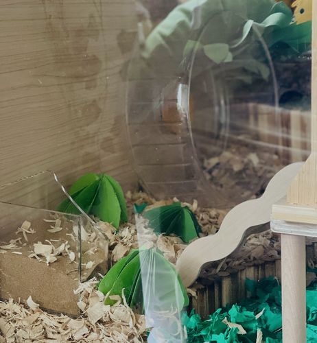 Customer photo review of Niteangel Bigger World MDF Terrarium Aspen Poplar Wooden Enclosure for Syrian and Dwarf Hamsters