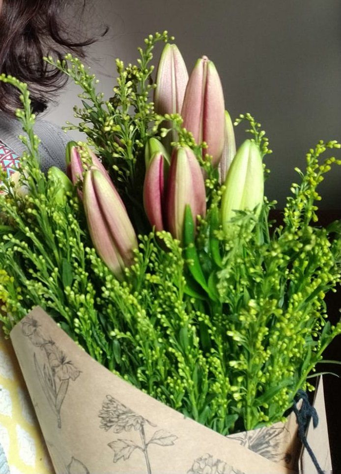 Customer photo review of Asiatic Lily