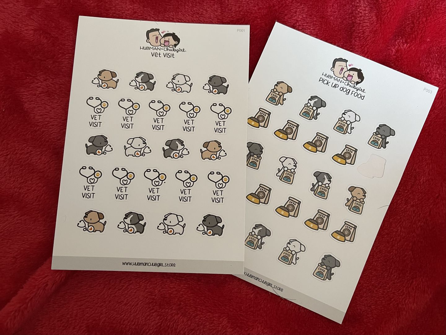 Customer photo review of Vet Visit Planner Stickers