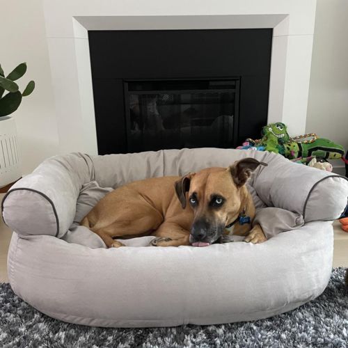 Customer photo review of Winter Deep Sleep Sofa Dog Bed