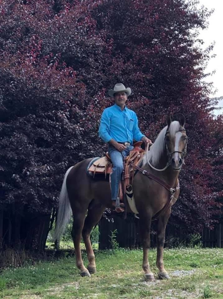 Customer photo review of Personalized Horse portrait