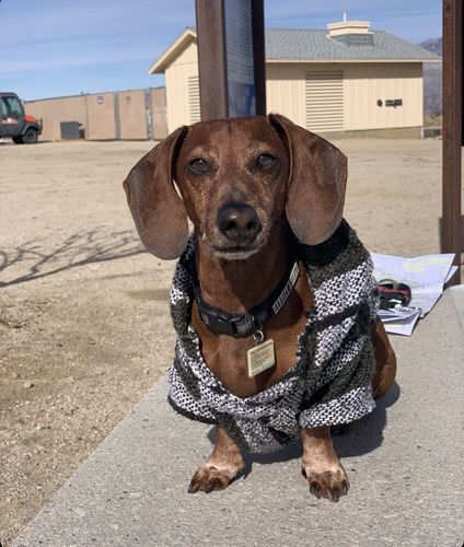 Customer photo review of Playa Poncho