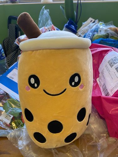 Customer photo review of Reversible Bubble Tea Plush Pillow