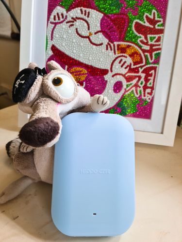 Customer photo review of [GLOBAL] PORTABLE UVC MASK STERILIZER